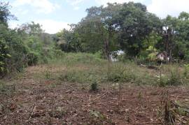 Residential Lot for Sale in Braes River