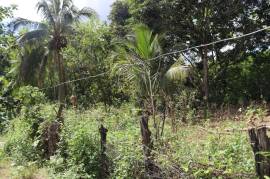 Residential Lot for Sale in Braes River