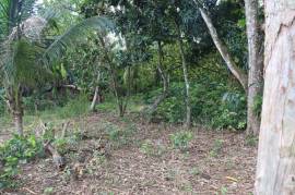 Residential Lot for Sale in Braes River