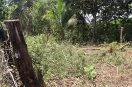 Residential Lot for Sale in Braes River