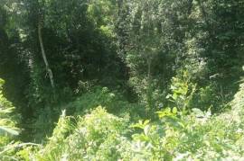 Residential Lot for Sale in Red Hills