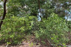 Residential Lot for Sale in Black River