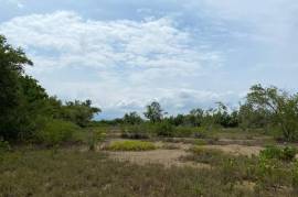 Residential Lot for Sale in Black River