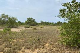 Residential Lot for Sale in Black River