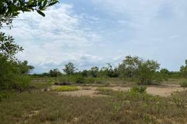 Residential Lot for Sale in Black River