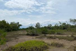 Residential Lot for Sale in Black River