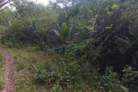 Residential Lot for Private in Port Antonio