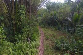 Residential Lot for Private in Port Antonio