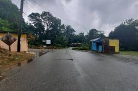 Residential Lot for Private in Port Antonio