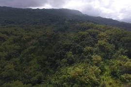 Residential Lot for Private in Port Antonio