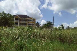 Residential Lot for Sale in Mandeville