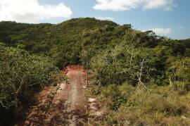 Residential Lot for Sale in Hat Field