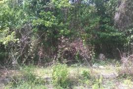 Residential Lot for Sale in Runaway Bay