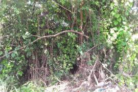 Residential Lot for Sale in Montego Bay