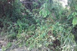 Residential Lot for Sale in Montego Bay