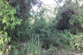 Residential Lot for Sale in Montego Bay