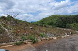 Residential Lot for Sale in Hat Field