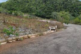 Residential Lot for Sale in Hat Field