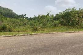 Residential Lot for Private in Mandeville