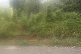 Residential Lot for Sale in Porus