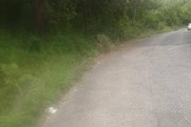 Residential Lot for Sale in Porus