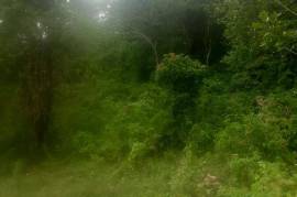 Residential Lot for Sale in Porus