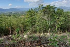 Residential Lot for Sale in Linstead