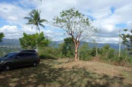 Residential Lot for Sale in Linstead