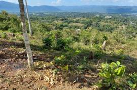 Residential Lot for Sale in Linstead