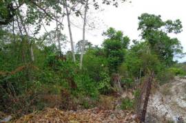 Residential Lot for Sale in Ocho Rios