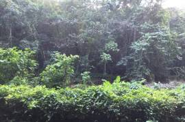 Residential Lot for Sale in Morant Bay