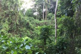 Residential Lot for Sale in Morant Bay