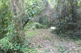 Residential Lot for Sale in Morant Bay