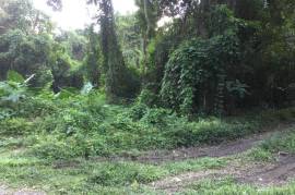 Residential Lot for Sale in Morant Bay