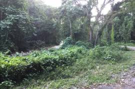 Residential Lot for Sale in Morant Bay