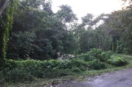 Residential Lot for Sale in Morant Bay