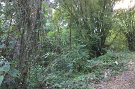 Residential Lot for Sale in Morant Bay