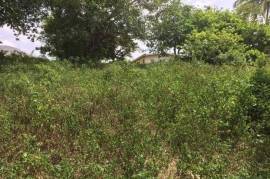 Residential Lot for Sale in Mandeville