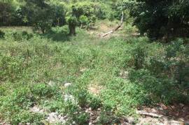 Residential Lot for Sale in Mandeville