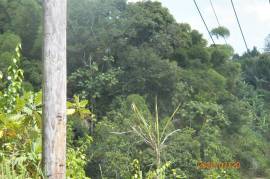 Residential Lot for Sale in Red Hills