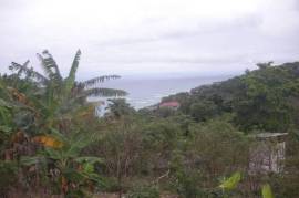 Residential Lot for Sale in Long Bay