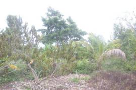 Residential Lot for Sale in Long Bay