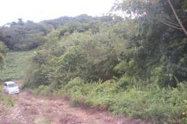 Residential Lot for Sale in Long Bay