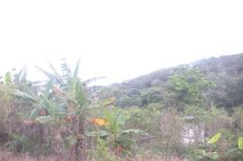 Residential Lot for Sale in Long Bay