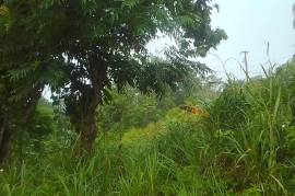 Residential Lot for Sale in Border