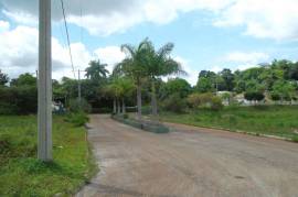 Residential Lot for Sale in Knockpatrick