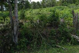 Residential Lot for Sale in Montego Bay