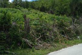 Residential Lot for Sale in Montego Bay