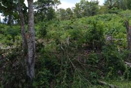 Residential Lot for Sale in Montego Bay