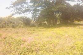 Residential Lot for Sale in May Pen